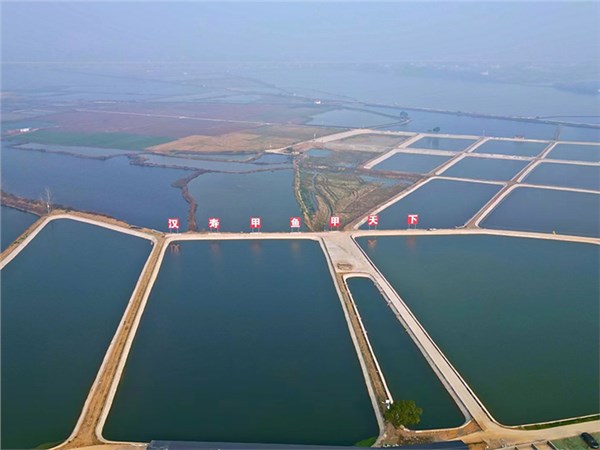 尊龙凯时农业集团：绿色发展助力乡村振兴