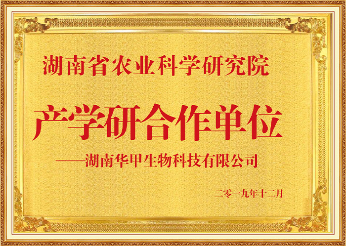 尊龙凯时农业集团：产学研合作典范，开启甲鱼精深加工新征程