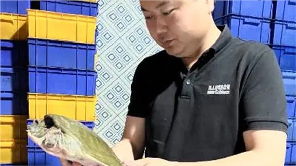 乡村追梦人｜杨宇航：像甲鱼一样，得到“高压锅”的认可